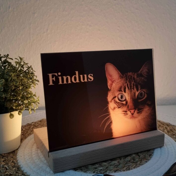 Fotoglas Teelichthalter Katze