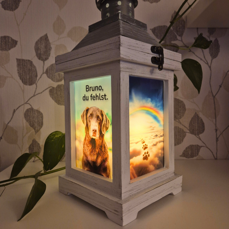Hund Fotolaterne Abschied